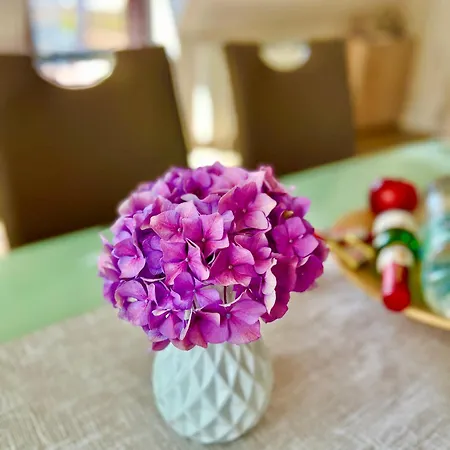 Διαμέρισμα Peedy's Luxurioese 60m² Mit Balkonterrasse Στάντε